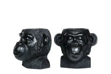 Lataa kuva Galleria-katseluun, Apina ruukku