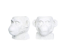 Lataa kuva Galleria-katseluun, Apina ruukku